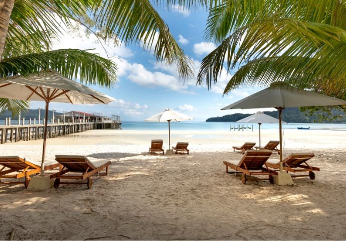 Listing Taxonomy Image